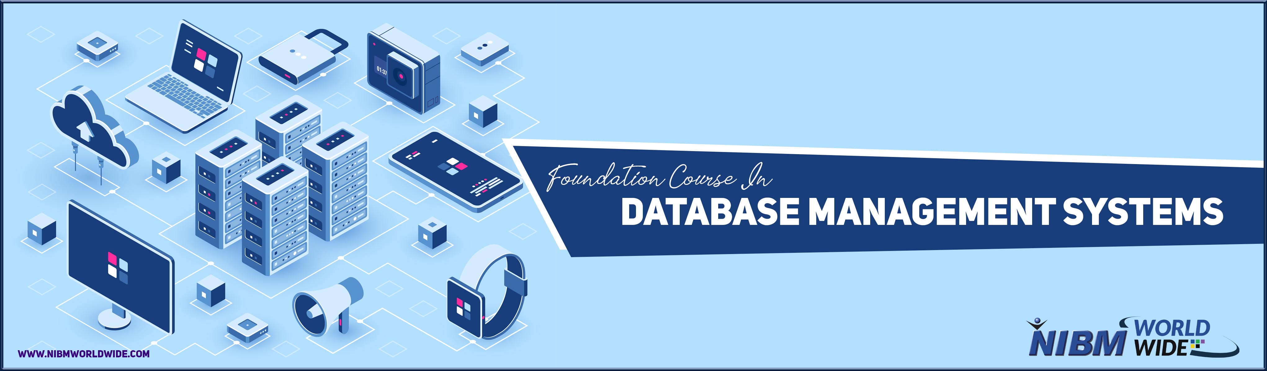 foundation-course-in-database-management-system-nibm-world-wide